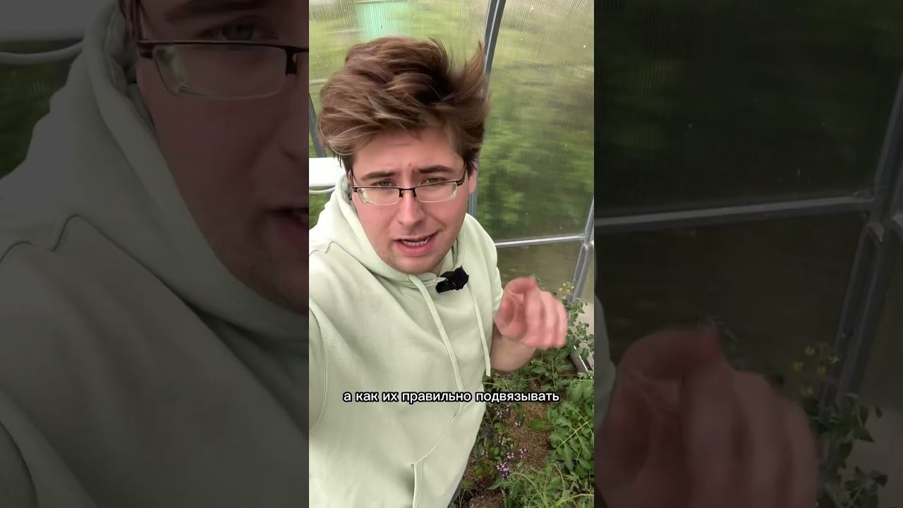 Удаляем пасынки у томатов правильно! смотреть онлайн