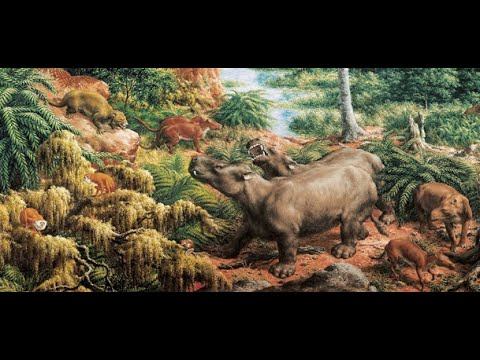 The Cenozoic Pt. 1 (with Dapper Dinosaur) смотреть онлайн