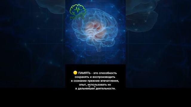 ВПФ - это… смотреть онлайн