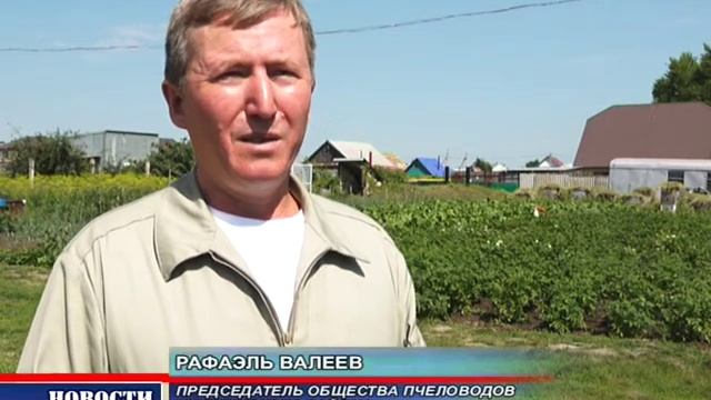 Лишились годового заработка смотреть онлайн