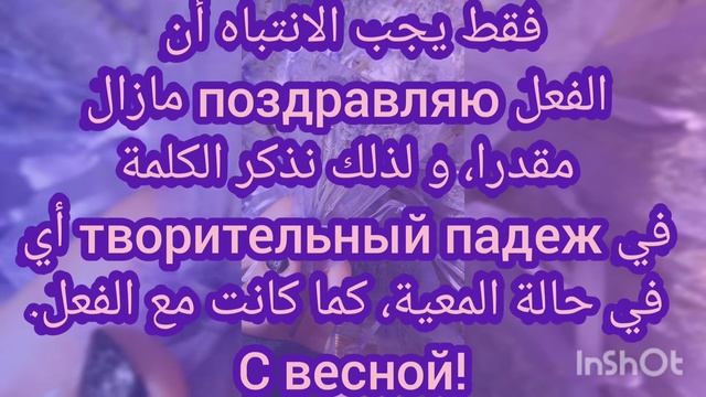 كيف تهنئ بالروسية في مختلف المناسبات| أهنئ النساء بيومهن| How to Congratulate in Russian|Women's Da смотреть онлайн