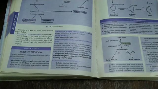 Phenylalanine and Tyrosine Metabolism - BIOCHEMISTRY смотреть онлайн