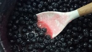 Изюм из черноплодной рябины. Получится с первого раза.