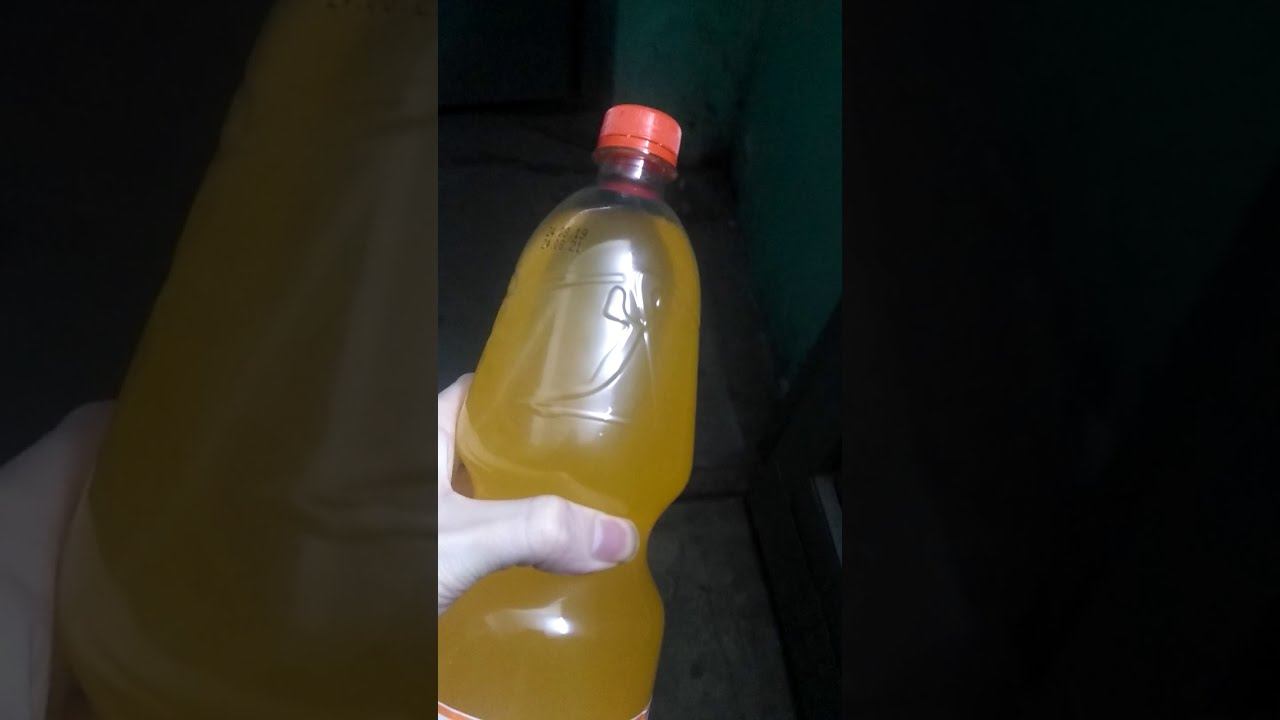 Обзор на Виноградный День часть 1 смотреть онлайн