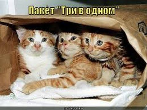 Три в одном смотреть онлайн