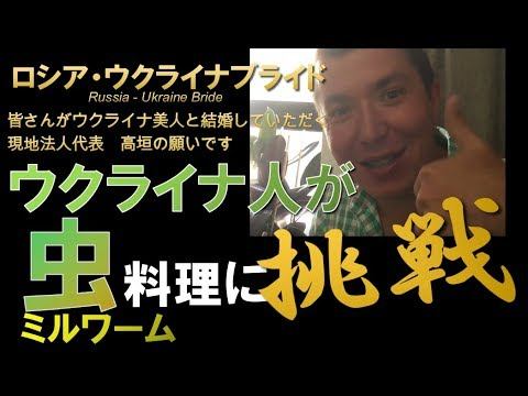 中華料理店で虫料理発見！ウクライナ人弁護士アンドレイが挑戦しました😝 смотреть онлайн
