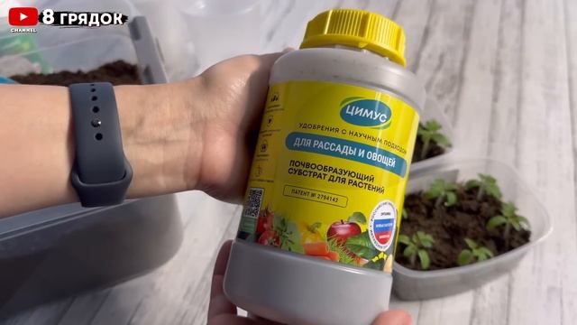 ЛУЧШИЕ СОРТА ТОМАТОВ по итогам 2024 года, УРОЖАЙНЫЕ и ВКУСНЫЕ смотреть онлайн