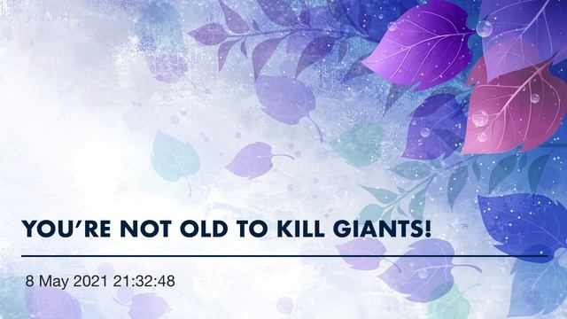 YOU’RE NOT OLD TO KILL GIANTS! смотреть онлайн