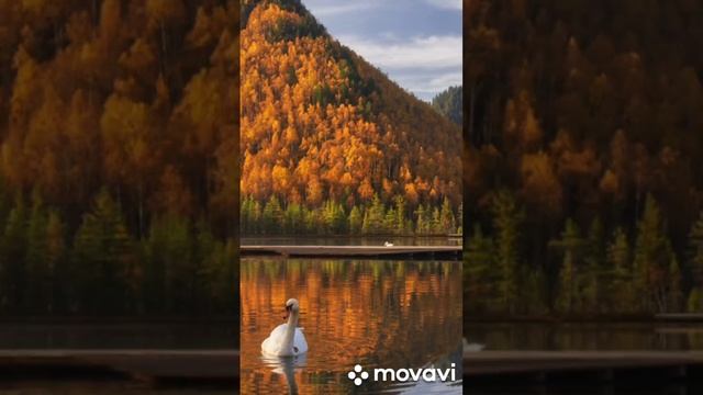 Осень на Байкале!💃💃💃