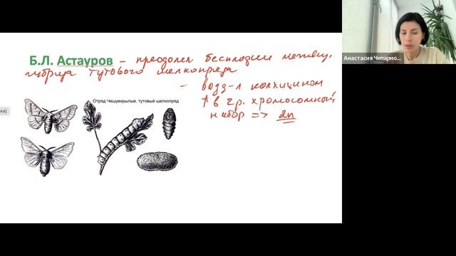 класс птицы