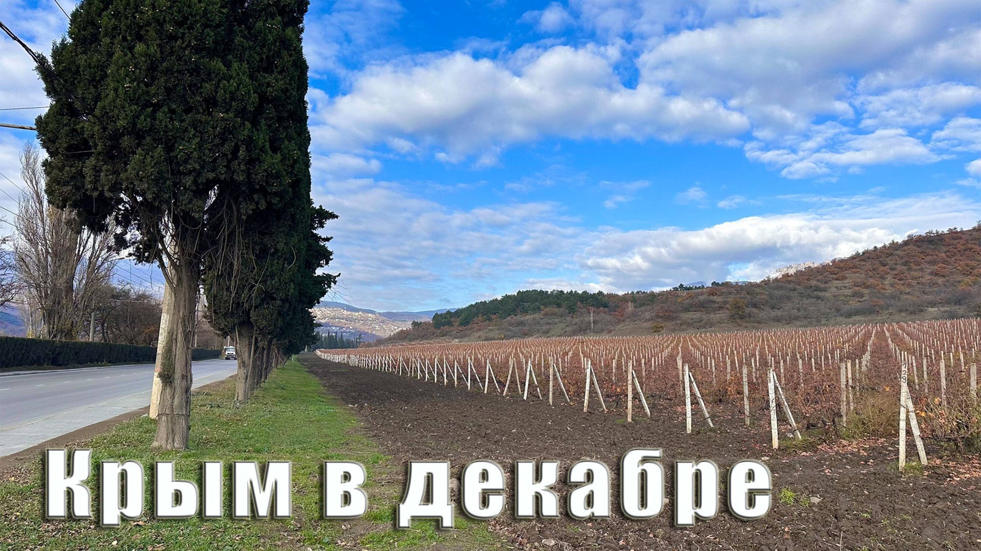 Стоит ли ехать в Крым на Новый Год. Как снять жильё в Ялте и сколько это будет стоить. Алушта. смотреть онлайн