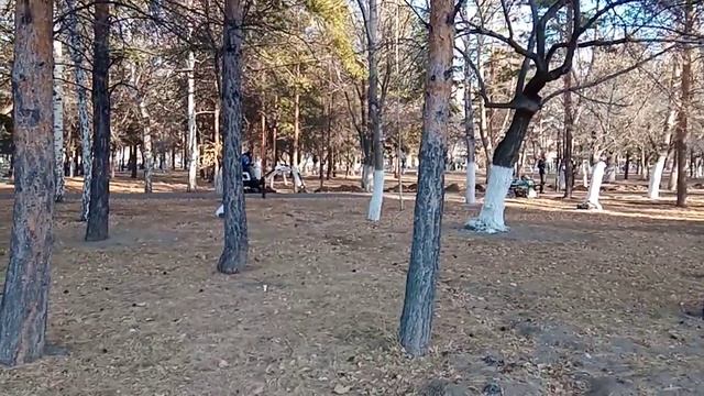 земельные работы на площади конституции смотреть онлайн