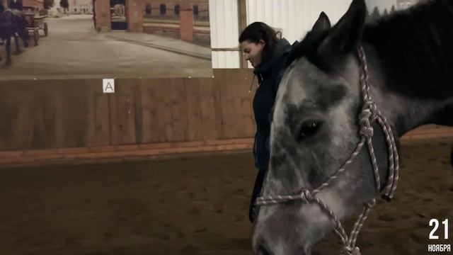 Будни коневладельцев: Одним поздним вечером смотреть онлайн