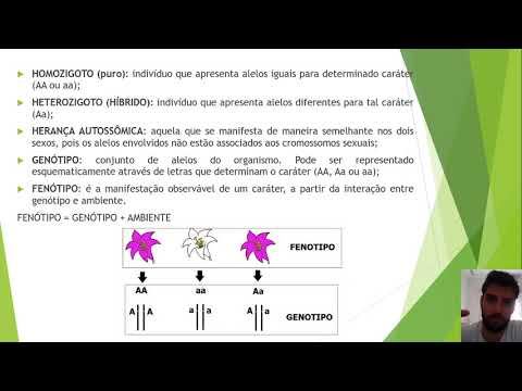 BIOLOGIA - AULA 06 смотреть онлайн