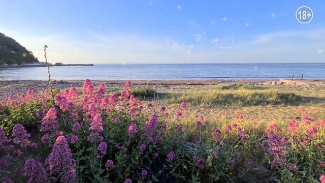 Самый лучший день - утренний настрой смотреть онлайн