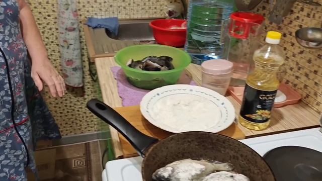 Голодным не буду 558