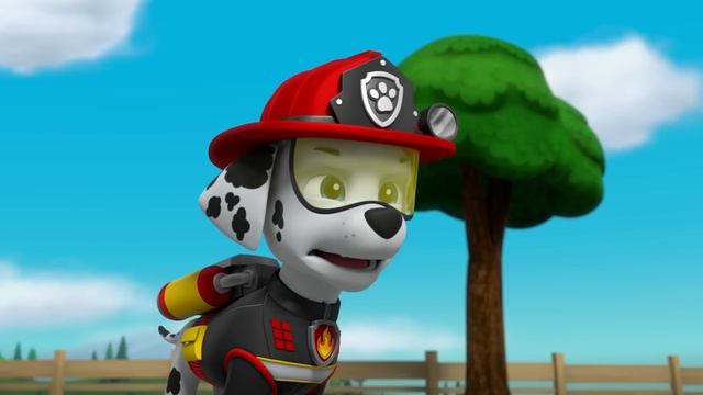 PAW Patrol: La Pat' Patrouille | Missions De Feu Et De Glace Pour Les Super Chiots | Nickelodeon Jr
