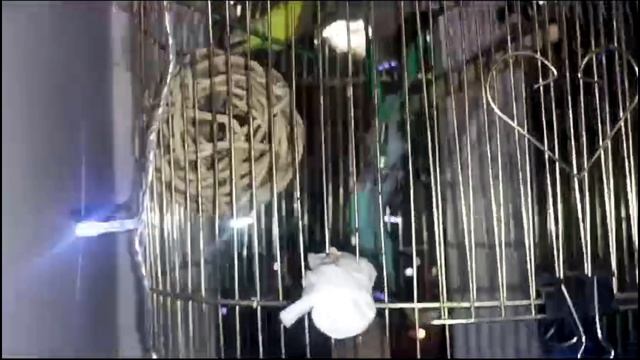 КОЛХОЗ ВЫЕХАЛ В МОСКВУ смотреть онлайн