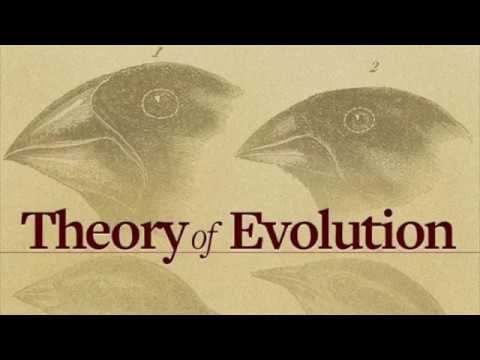 Evolution смотреть онлайн