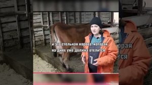 ДЕРЕВЕНСКИЙ ДНЕВНИК ОЧЕНЬ МНОГОДЕТНОЙ МАМЫ / Всякая всячина о туровской многомаме