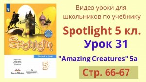 Spotlight 5 класс (Спотлайт 5) Английский в фокусе 5кл._ Урок 31, Unit 5a, стр.66-67