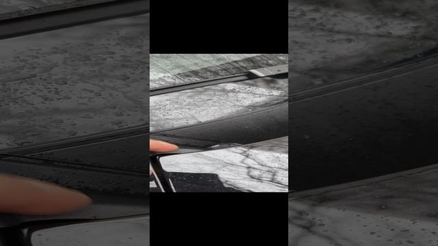 1000065756.mp4 смотреть онлайн