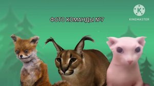 сериал про шлёпу : шлепа и бингус против зомби