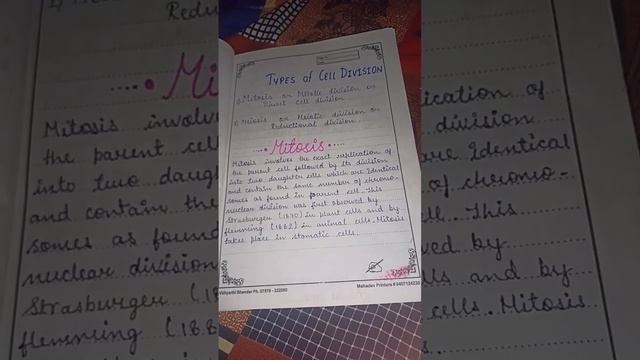 cell cycle and cell division biology project 😍🤩🌈✨ смотреть онлайн