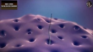 Биосинтез белка за 3 минуты (даже меньше)