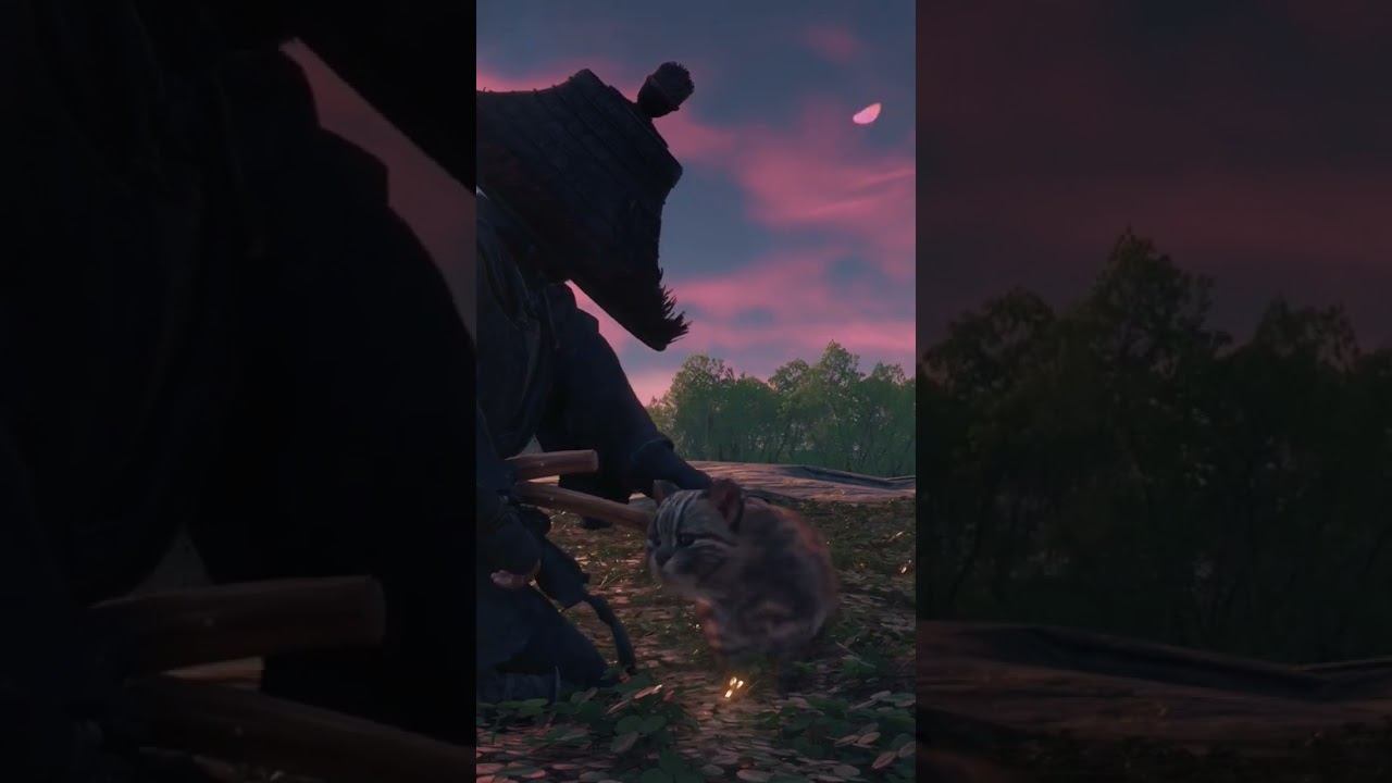 Ghost of Tsushima Tamed a cat /Призрак Цусимы приручил кота #ps5 #ghostoftsushima смотреть онлайн