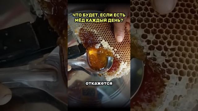 Что будет если каждый день есть 🍯 мед ? смотреть онлайн