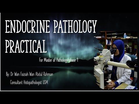 Endocrine Pathology Practical смотреть онлайн