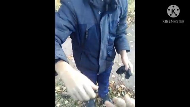 Лазанье по деревьям часть 1 с мантожом смотреть онлайн