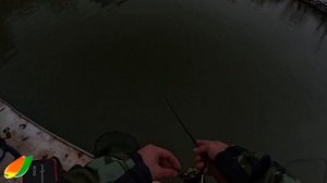 Новая спортзона в Big Carp Красногорск. Ловим форель на запуске. Сезон рыбалки Fario bronze 652.