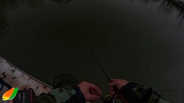 Новая спортзона в Big Carp Красногорск. Ловим форель на запуске. Сезон рыбалки Fario bronze 652.