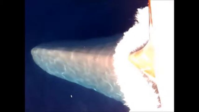 Dolphins and ship смотреть онлайн