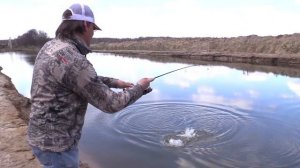 Ловля форели. Блесны для мутной воды