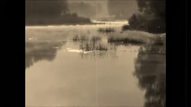 Манго Манго   Щорс