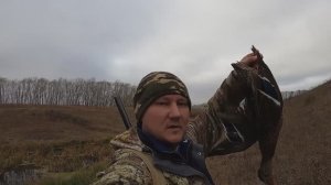 ОХОТА НА УТКУ С ПОДХОДА ОКТЯБРЬ 2024 #hunting #охота #утки