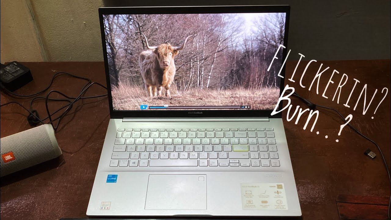 Asus Vivobook K15 After 5 Months - Long Term Review смотреть онлайн