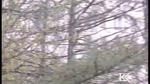 Романс Любови Бородиной смотреть онлайн