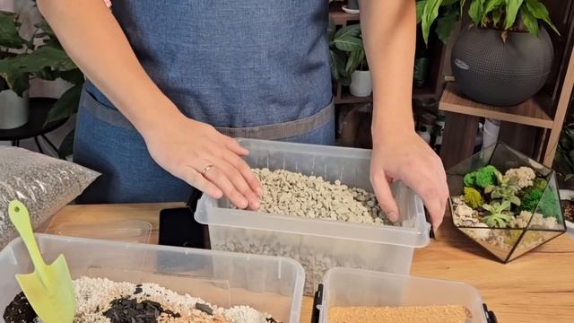 Делаем универсальный грунт для комнатных растений своими руками