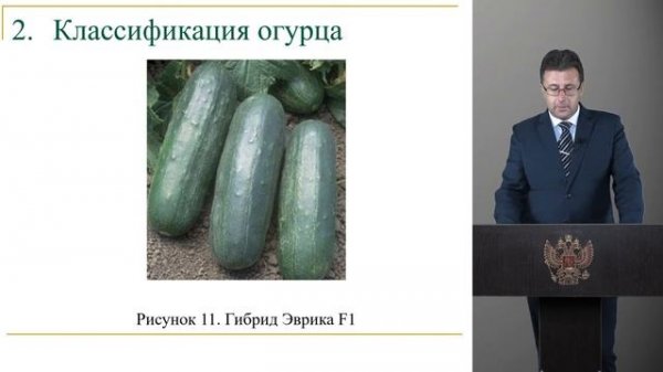 Горяников Ю.В.5 курс 35.03.04 Агрономия.Овощеводство защищенного грунта