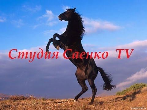 "Чёрный" четверг Украины. Шествие 2.06.16. Студия Саенко TV смотреть онлайн