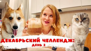 Декабрьские влоги: День 2. Какаомания. Куда пропали новогодние леденцы?