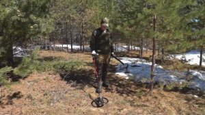 2018 Одинцовская Архангельская обл.