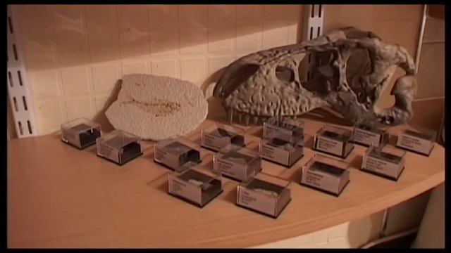Fossils Collection смотреть онлайн