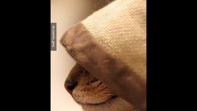Мармок-музыка из чебуреков (far remix) смотреть онлайн
