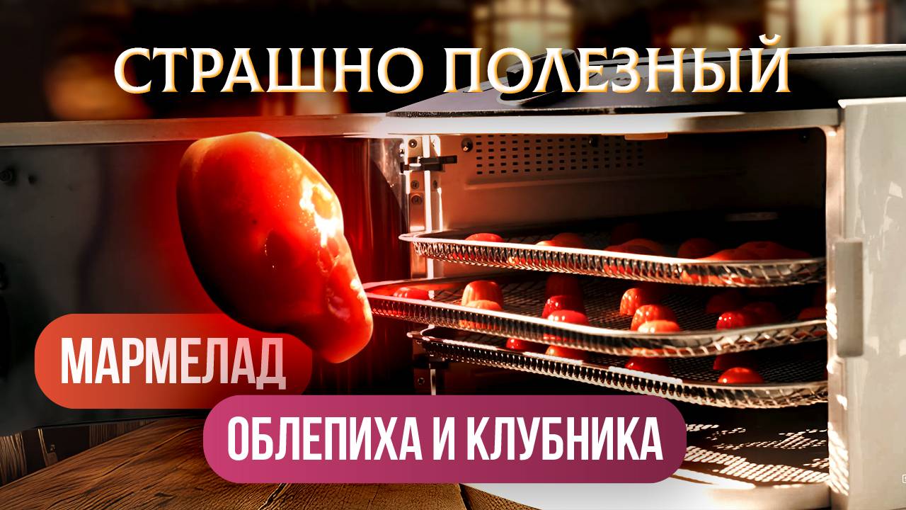 Полезный мармелад из клубники и облепихи | Рецепт в соковыжималке H400 и дегидраторе IR D5 смотреть онлайн