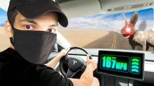 угадай КУДА я еду...